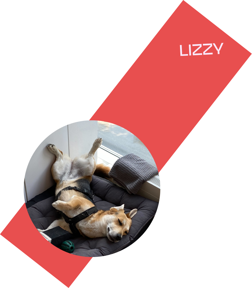 THIS IS Y Studio Hamburg Lizzy Officedog Motiondesign