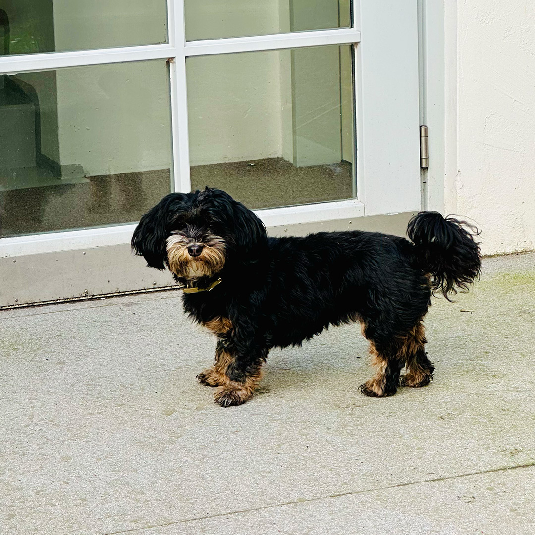 studio_brunnenstrasse_02 THIS IS Y Studio Hamburg Yoko Motiondesign Branding